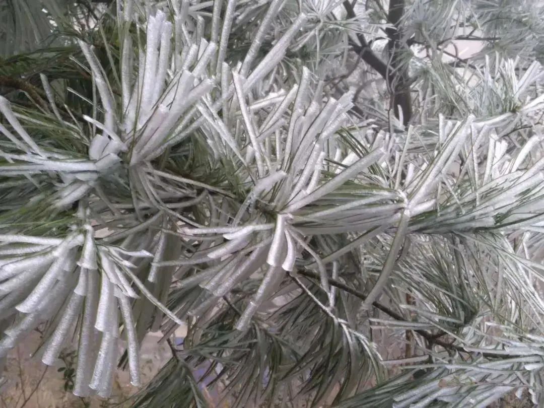 室外大雪紛飛，室內溫暖如春，這種爐子取暖簡直給力！