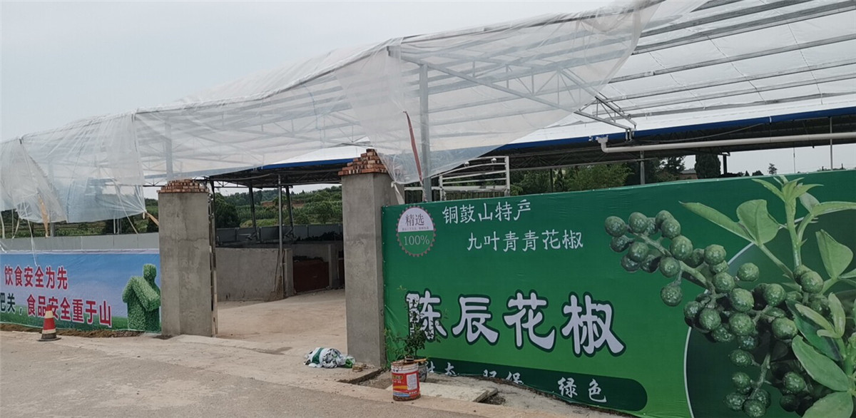 花椒烘干